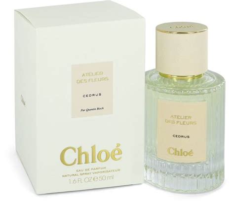 cedrus chloe|chloe perfume cedrus.